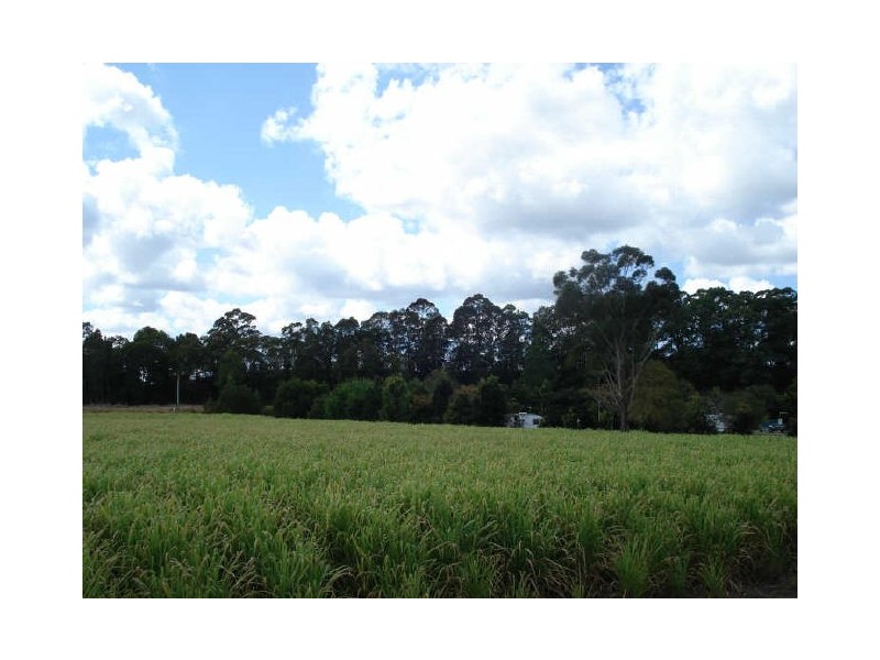 Murwillumbah NSW 2484