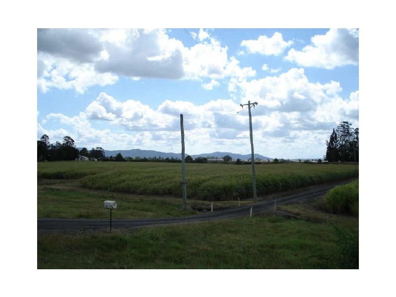 Murwillumbah NSW 2484