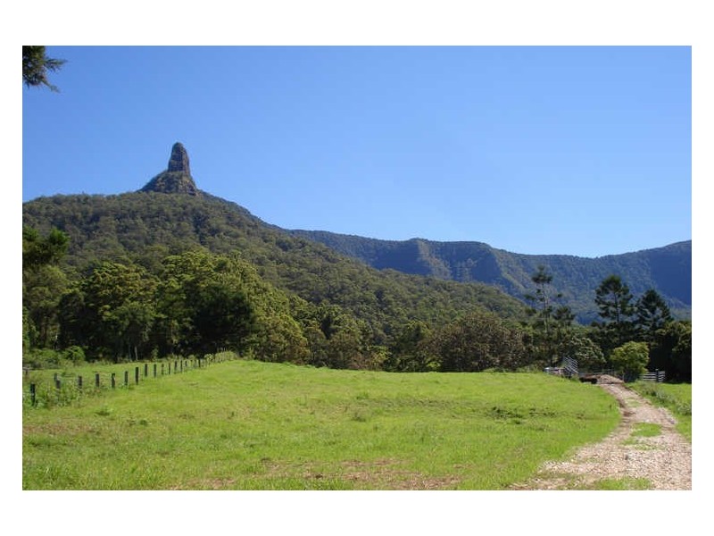 504 Pinnacle Road, Tyalgum NSW 2484