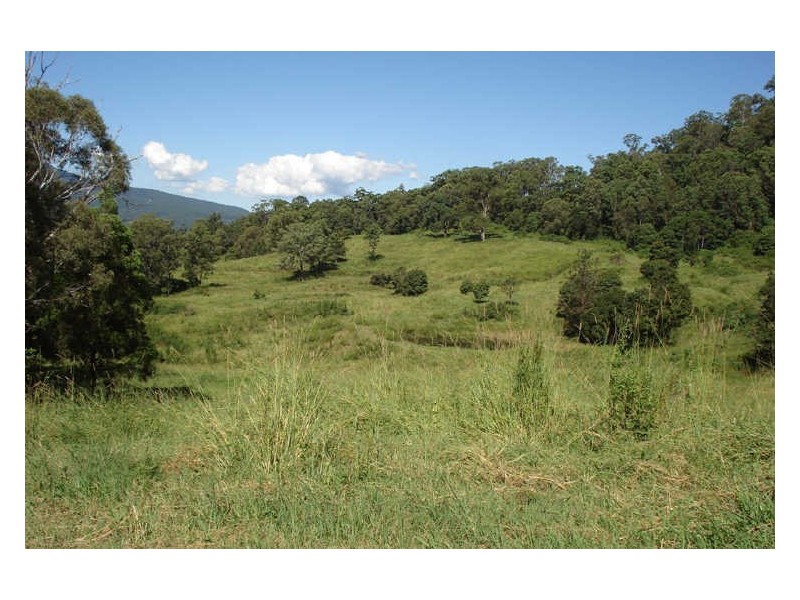 504 Pinnacle Road, Tyalgum NSW 2484