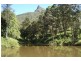 504 Pinnacle Road, Tyalgum NSW 2484