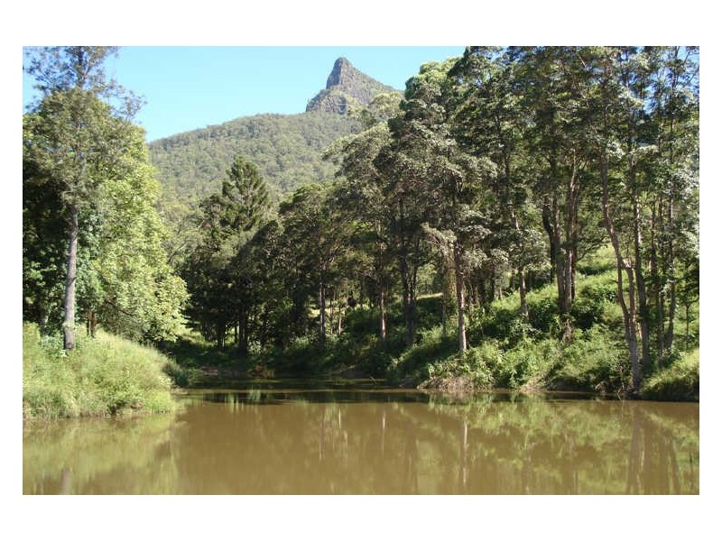 504 Pinnacle Road, Tyalgum NSW 2484