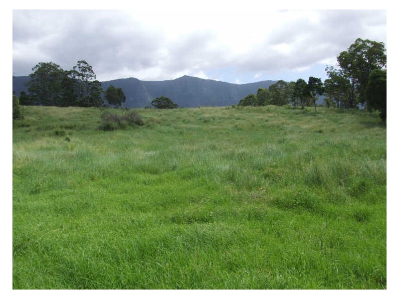 504 Pinnacle Road, Tyalgum NSW 2484