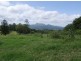 504 Pinnacle Road, Tyalgum NSW 2484
