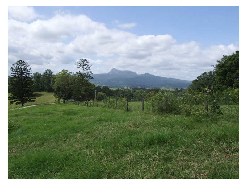 504 Pinnacle Road, Tyalgum NSW 2484