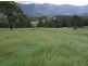 504 Pinnacle Road, Tyalgum NSW 2484