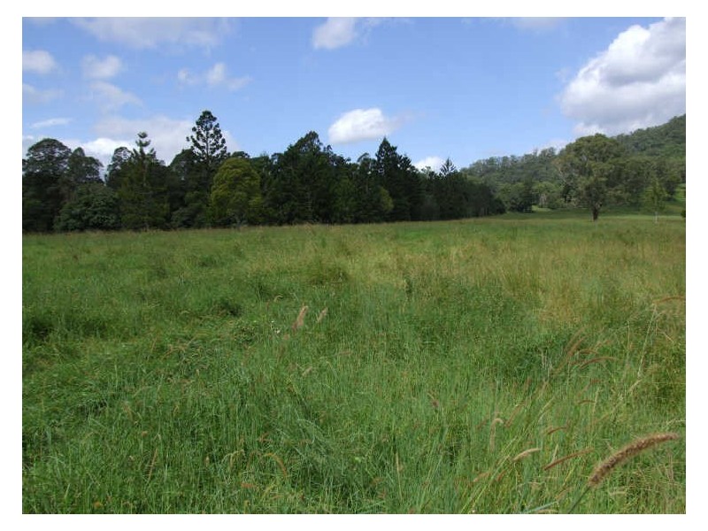 504 Pinnacle Road, Tyalgum NSW 2484
