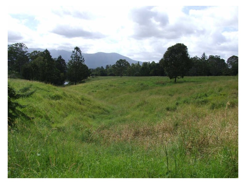 504 Pinnacle Road, Tyalgum NSW 2484