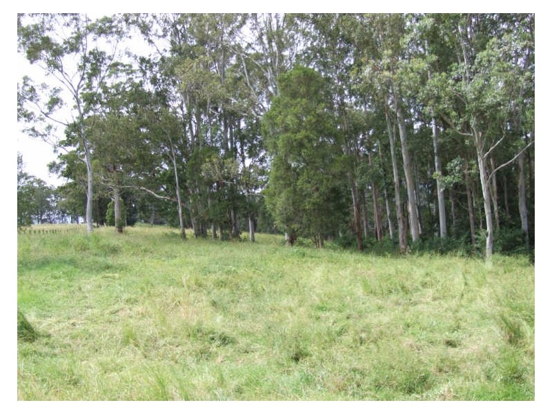 504 Pinnacle Road, Tyalgum NSW 2484