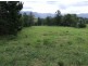 504 Pinnacle Road, Tyalgum NSW 2484