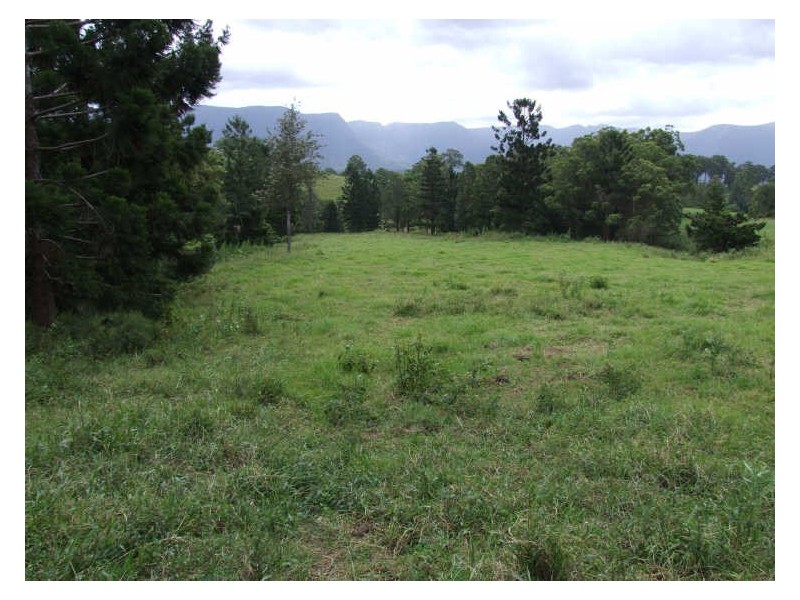 504 Pinnacle Road, Tyalgum NSW 2484