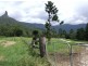 504 Pinnacle Road, Tyalgum NSW 2484