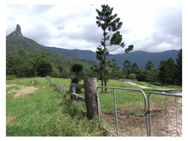 504 Pinnacle Road, Tyalgum NSW 2484