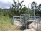 504 Pinnacle Road, Tyalgum NSW 2484