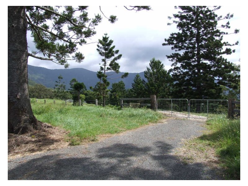 504 Pinnacle Road, Tyalgum NSW 2484