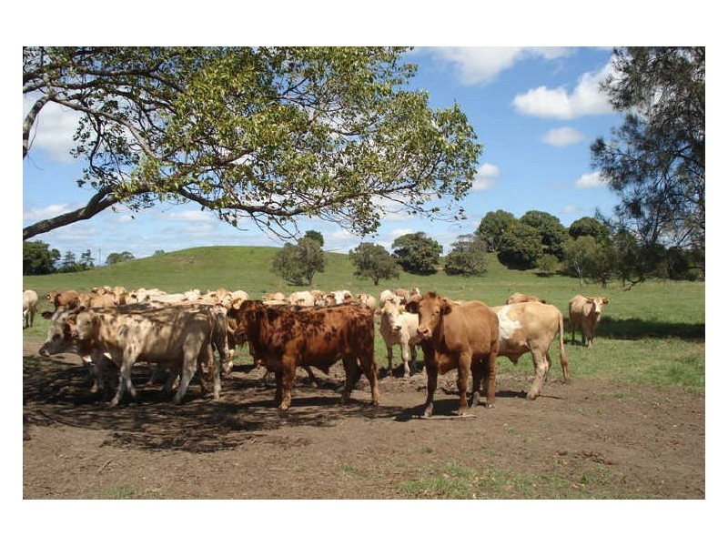 Lot 4 Terranora Road, Tumbulgum NSW 2490