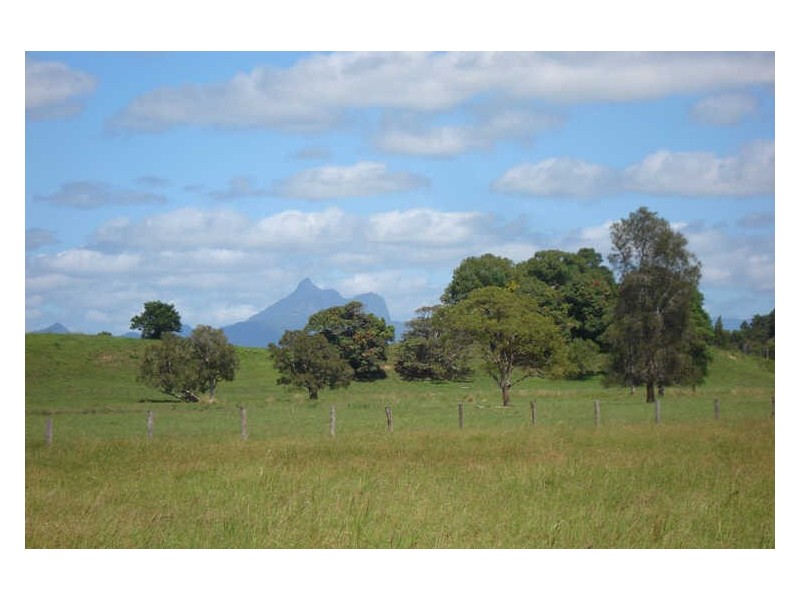 Lot 4 Terranora Road, Tumbulgum NSW 2490