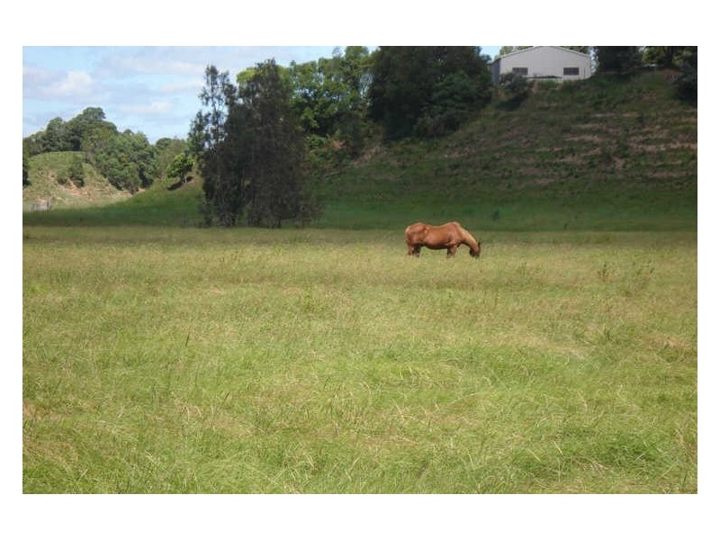 Lot 4 Terranora Road, Tumbulgum NSW 2490