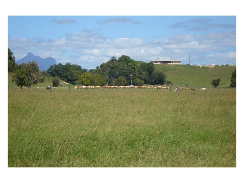 Lot 4 Terranora Road, Tumbulgum NSW 2490