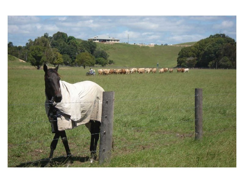 Lot 4 Terranora Road, Tumbulgum NSW 2490