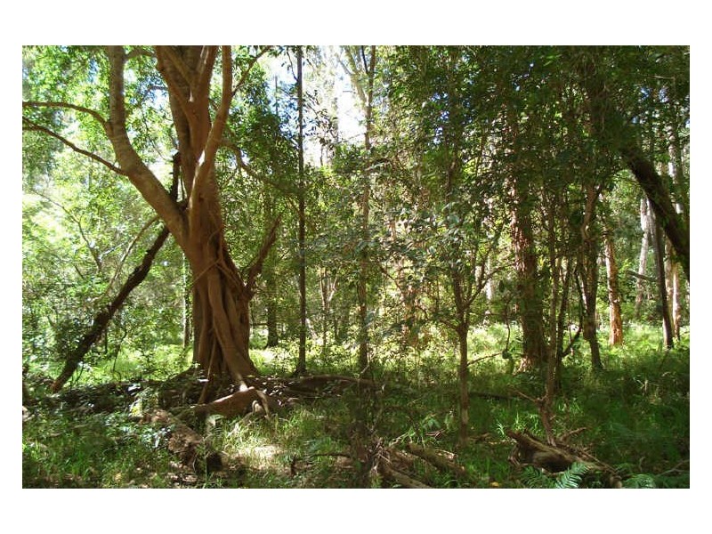 Lot 4 Terranora Road, Tumbulgum NSW 2490