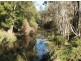 Cawongla NSW 2474