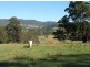Cawongla NSW 2474