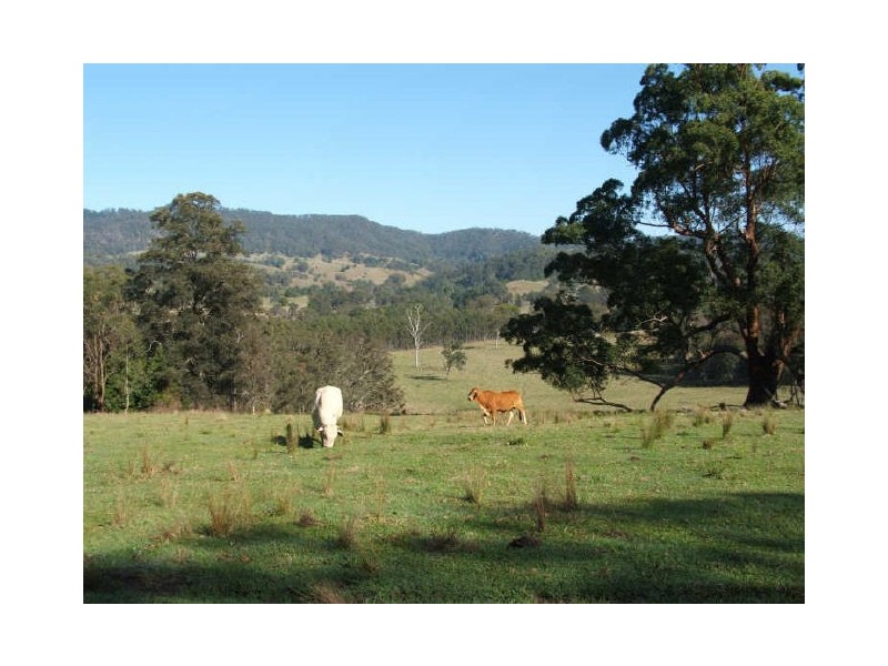 Cawongla NSW 2474