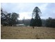 Cawongla NSW 2474