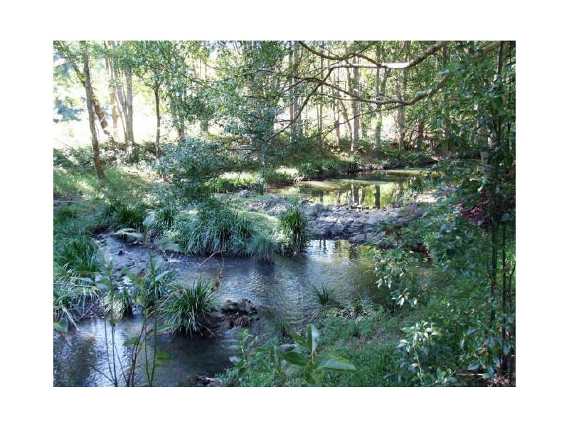 Murwillumbah NSW 2484