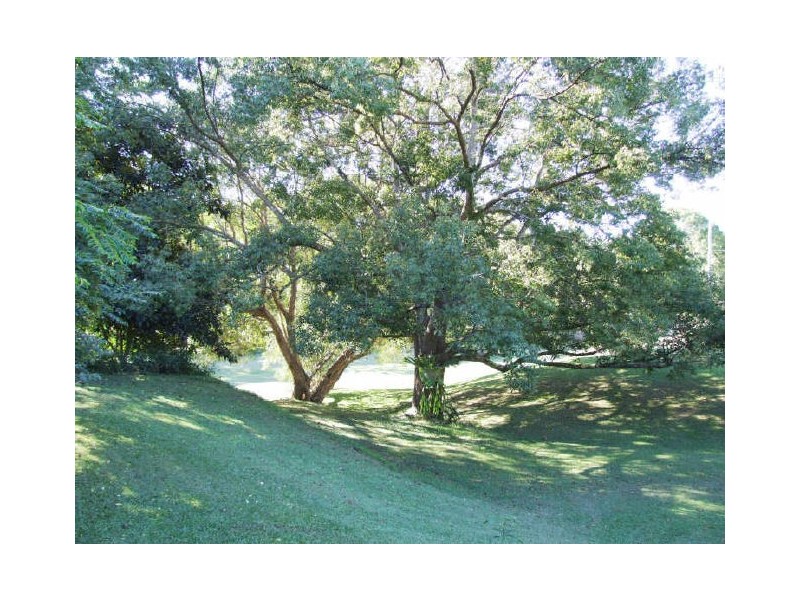 Murwillumbah NSW 2484