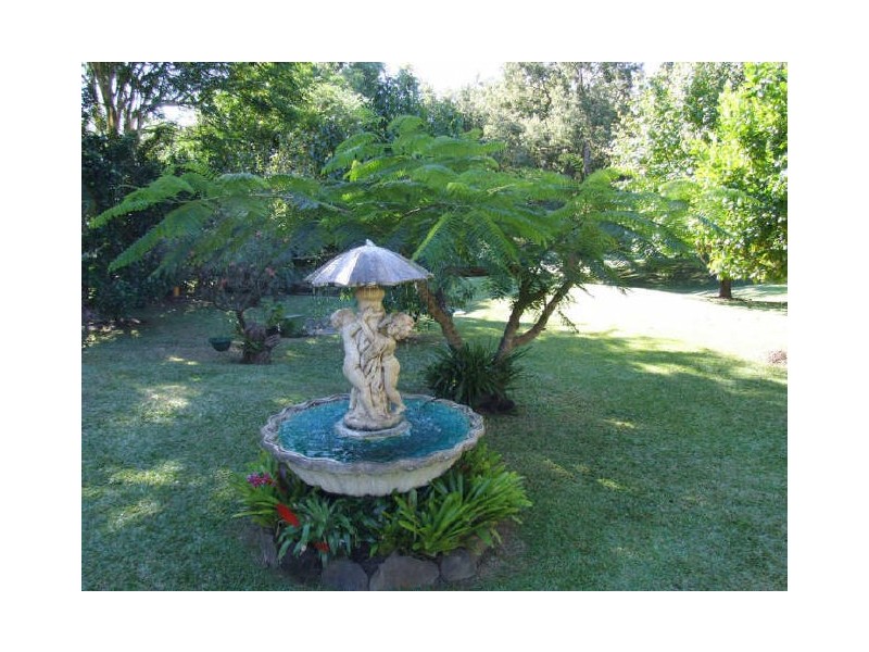 Murwillumbah NSW 2484