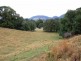 Murwillumbah NSW 2484