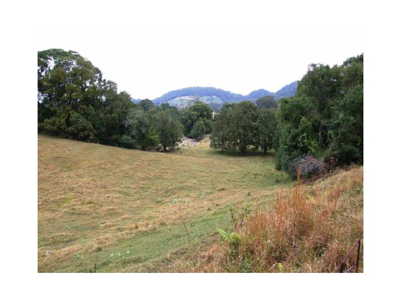 Murwillumbah NSW 2484