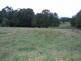 Murwillumbah NSW 2484