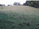 Murwillumbah NSW 2484