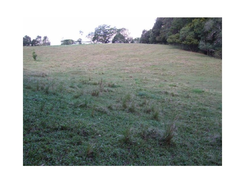 Murwillumbah NSW 2484