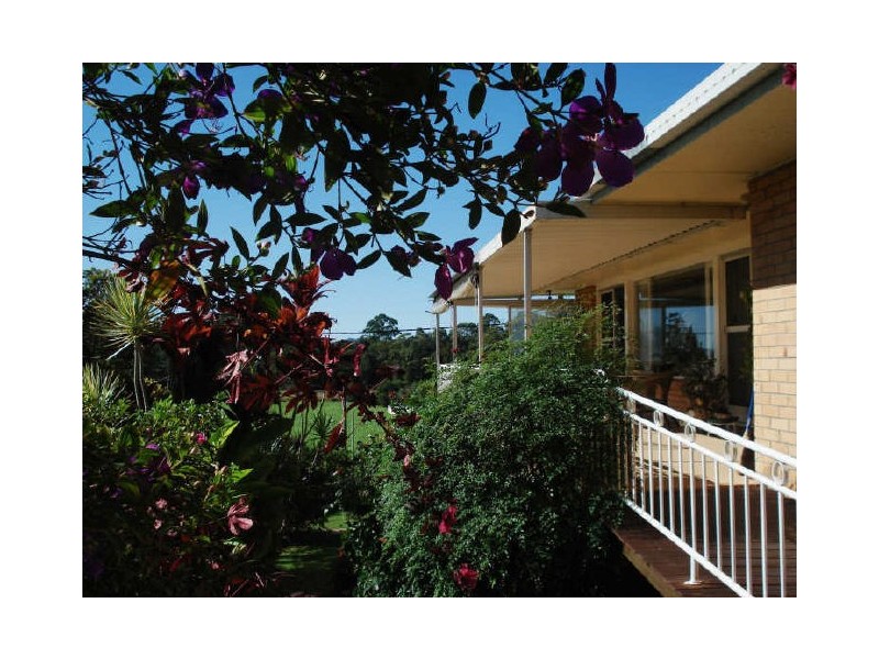 Murwillumbah NSW 2484