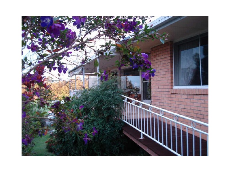 Murwillumbah NSW 2484