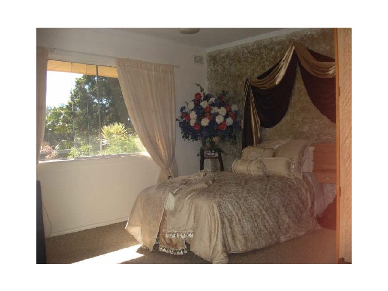 Murwillumbah NSW 2484