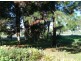Murwillumbah NSW 2484