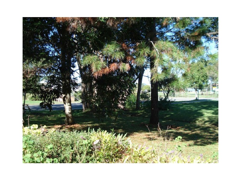 Murwillumbah NSW 2484