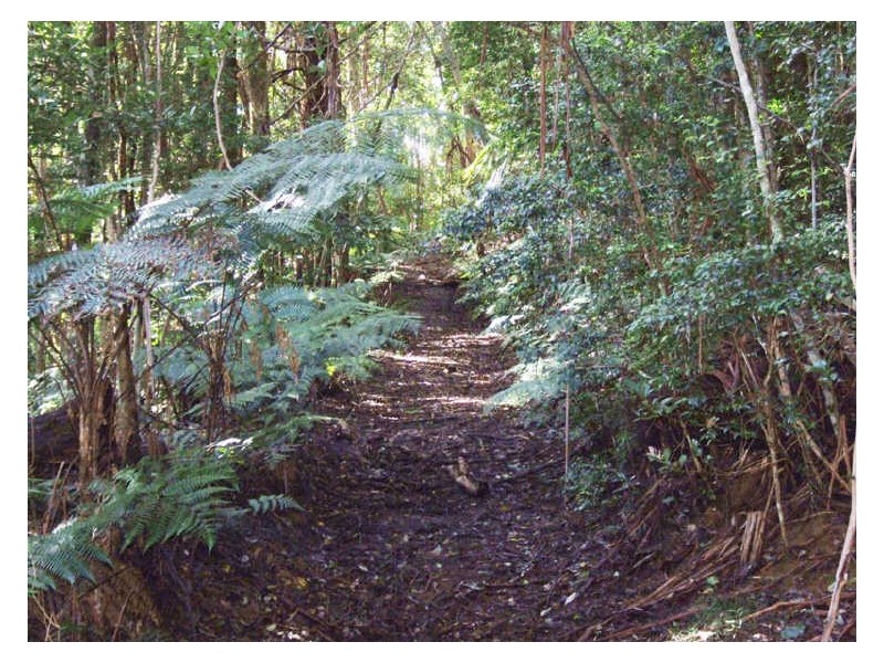 35 Baria Road, Burringbar NSW 2483