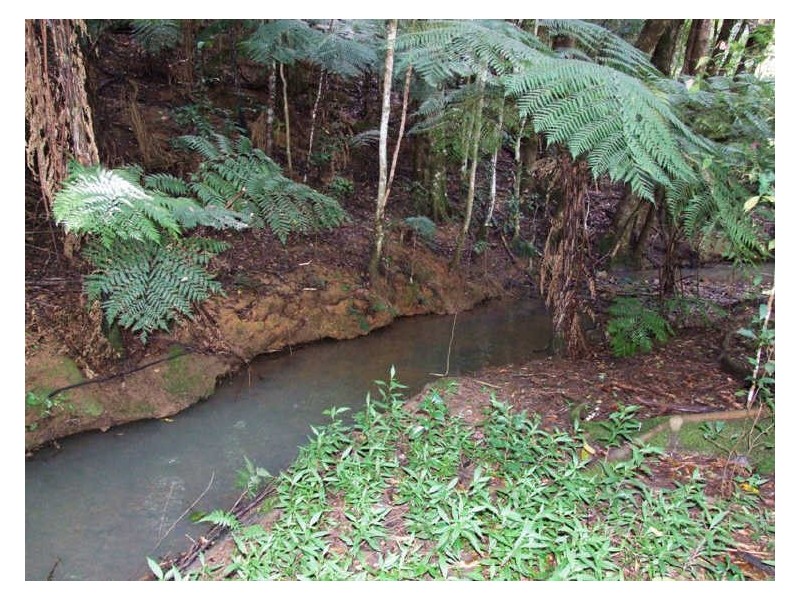 35 Baria Road, Burringbar NSW 2483