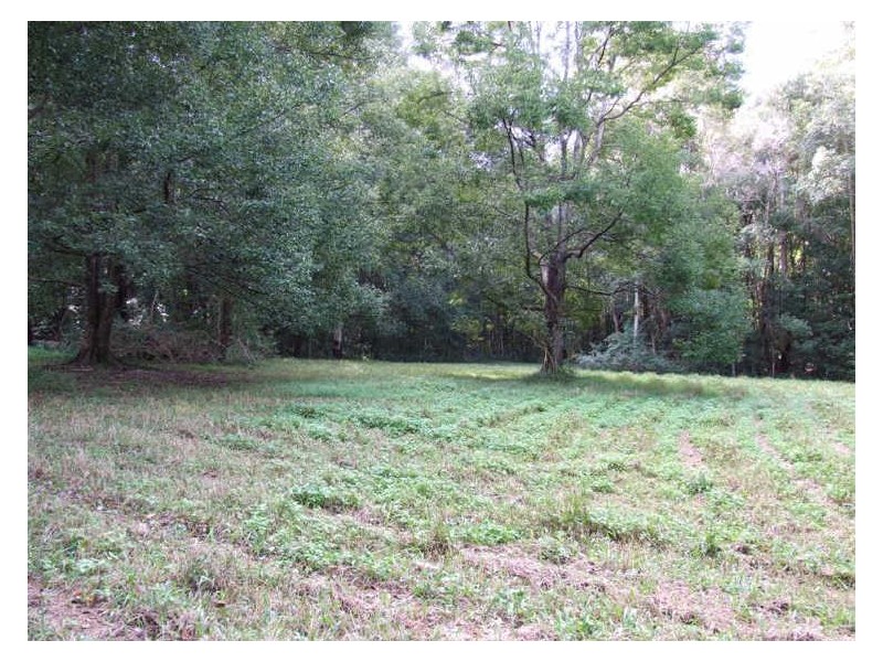 35 Baria Road, Burringbar NSW 2483