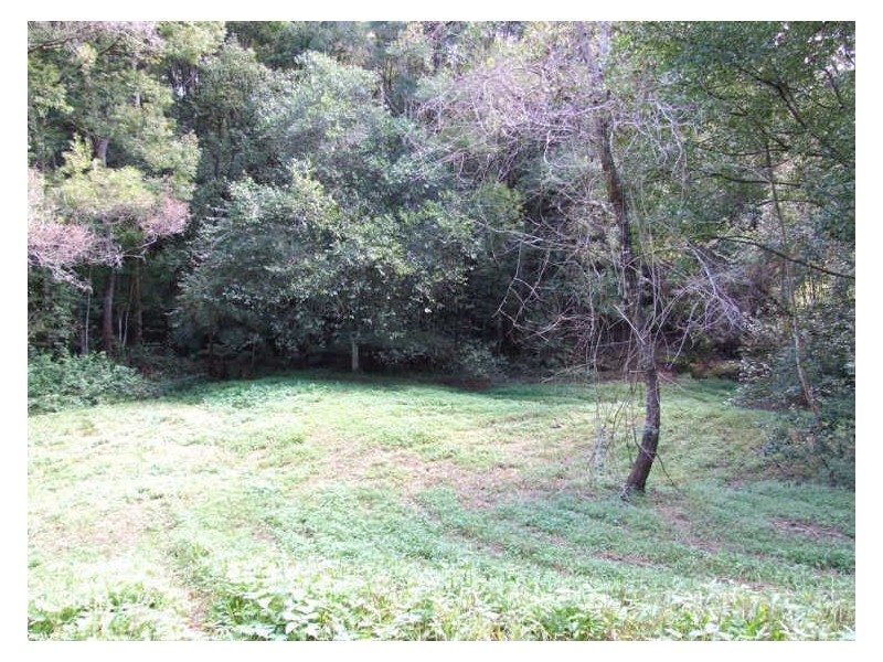 35 Baria Road, Burringbar NSW 2483