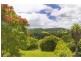 253 Palmvale Road, Palmvale NSW 2484