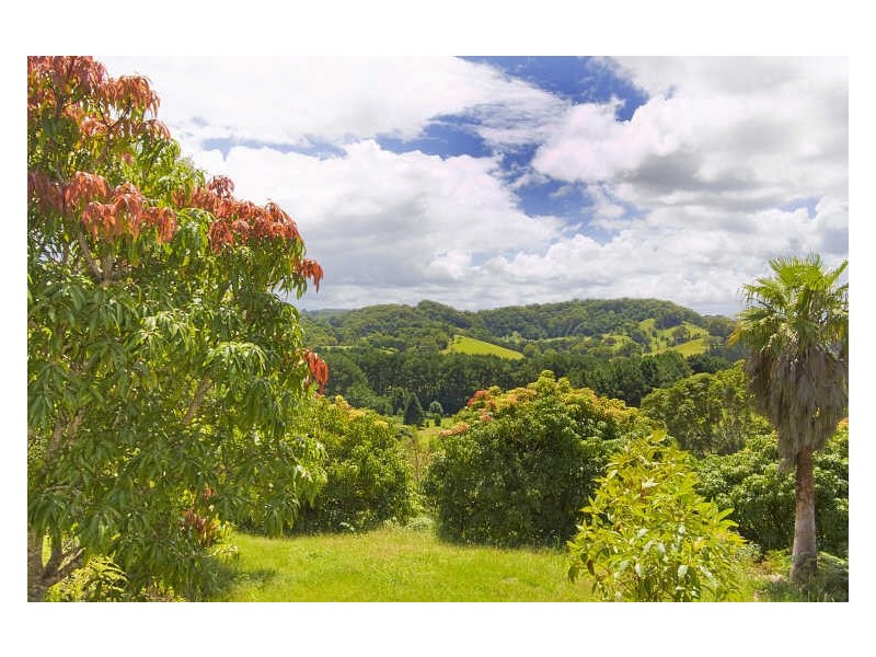 253 Palmvale Road, Palmvale NSW 2484