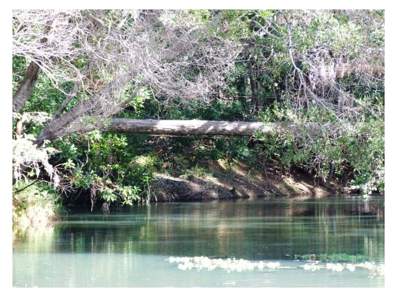 253 Palmvale Road, Palmvale NSW 2484