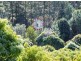 253 Palmvale Road, Palmvale NSW 2484